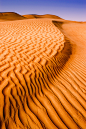 Photograph Sand Dune XXIX