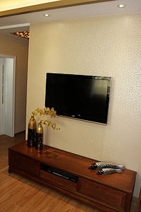 2013时尚混搭装修客厅电视墙实拍图