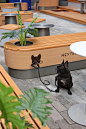 喜茶开的全国首家宠物主题店-建e室内设计网-设计案例