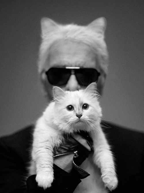 Karl and Choupette :...