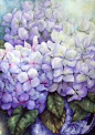 buy Hydrangeas by Pamela Sackville art online