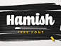 Hamish Script Font #英文# #字体# #字体设计# #字体下载#