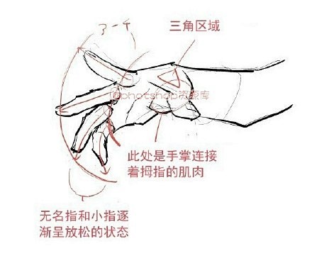 【绘画教材】手的各种动作详细教材，很实用...