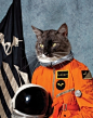Articles / Page 52 - Creative Journal #awesome #cat #space