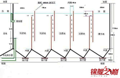 天O堂O鸟采集到植物解析