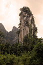 Vertical shot of a rock formation in the forest in the Kao Sok National Park, Thailand