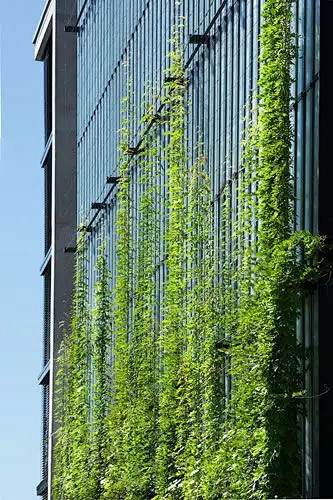 建筑绿，绿建筑