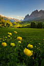 panatmansam:

kevwil: Dolomite in summer” by tonnaja 
