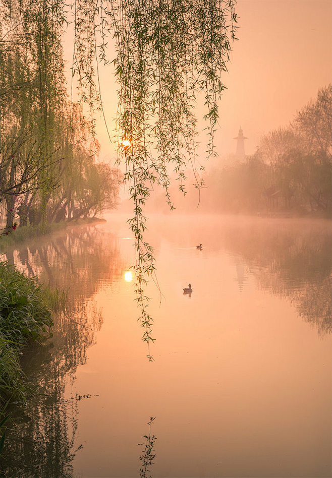 碧水丹山映杖藜，夕阳犹在小桥西。微吟不道...