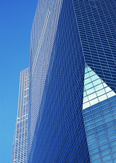 锦鲤河川采集到城市