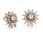 Sunburst Diamond Earrings in 14k Rose Gold (1 ct. tw.)