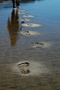 beach walk | beautiful photography