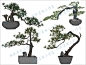 室内造型盆栽景观树植物盆景绿植罗汉松SU模型sketchup设计素材库-淘宝网