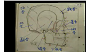 中央美术学院教授陈伟生教学第三部分 头骨结构—在线播放—优酷网，视频高清在线观看