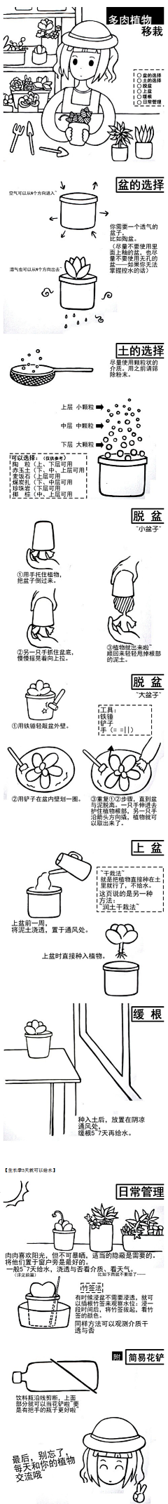 雪梨sydney采集到肉肉