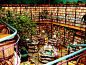 El Péndulo in Mexico 它一直被认为是墨西哥城内最佳避暑地之一。书店为开放式建筑，植有亭亭绿树，适合午后远离尘嚣。这家书店内的咖啡与好书一样闻名遐迩。
