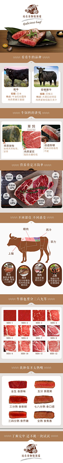 子墨93采集到牛肉模板