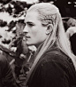 Legolas He was in the new hobbit and it IS Orlando Bloom!!!! AMAZING! Such a majestic warrior - prim proper and perfect beings... Strong and beautiful! I would love to be an Elven Princess and gawd dang it - I'll take Legolas as my man PLEASE!!!!!