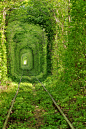这大概是这个星球最漂亮的一条火车道了，它绿得让人窒息……位于乌克兰的Kleven，当地人称呼这条道为“爱的隧道”。这条美丽的铁路是由枝蔓围成的。拱形隧道春意盎然，满眼皆绿；春秋季节，树叶茂盛，生机勃勃。