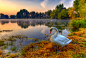 Photograph Swan by Boris Frkovic on 500px