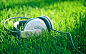 AKG Acoustics grass headphones music nature wallpaper (#756153) / Wallbase.cc