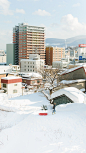 有多少人因为这组经典的雪景 去了北海道 
摄影：@林初寒