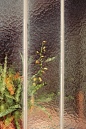 花房摄影师Samuel Zeller拍摄玻璃背后的植物私语 - 灵感日报 :   Samuel Zeller是一位来自瑞士日内瓦的摄影师，在他的摄影作品中，有一个名为Botanical的系列项目，收录他在世界各地的花房里拍摄的植物摄影作品。     Botanical这个项目源于一个寻常的春日午后，Samuel偶遇一间玻…