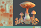 Mushrooms : Mushrooms by Lisa Fleck.