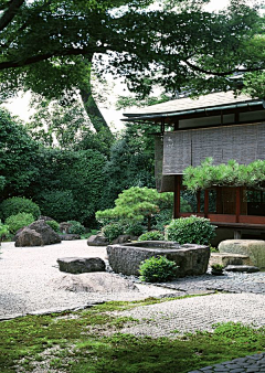 肥嘟嘟菠萝油采集到乡村