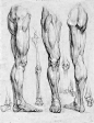 美术教程丨美术绘画人体的整体的框架——透视，比例，骨骼，肌肉