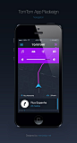 Big_dribbble_tomtom_mendesign_02