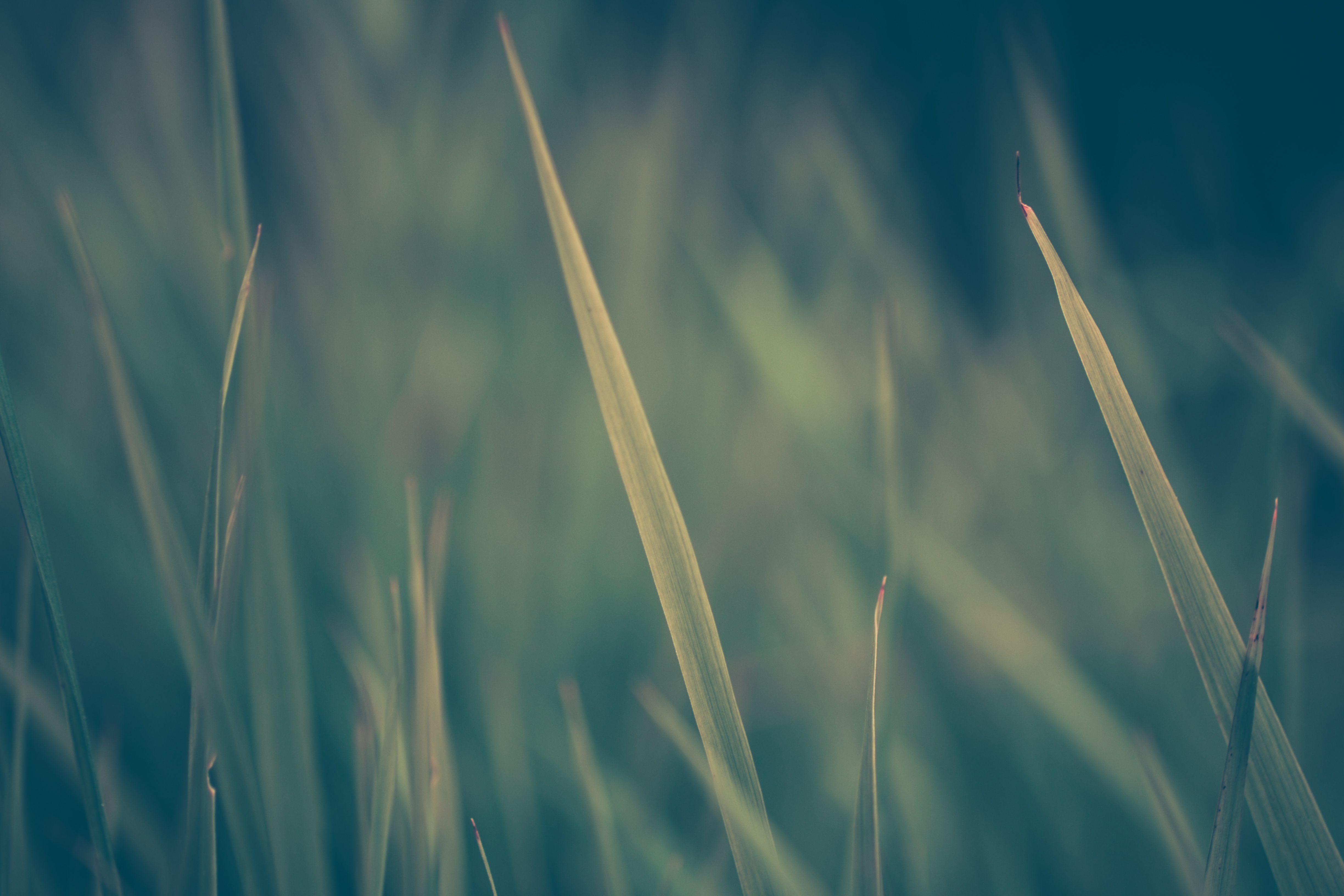 e3e9f27a3501491bc3630d2e6005429a43824b202690bb-j9fBWy