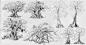 tree sketch, KKS ~ : tree sketch by KKS ~ on ArtStation.