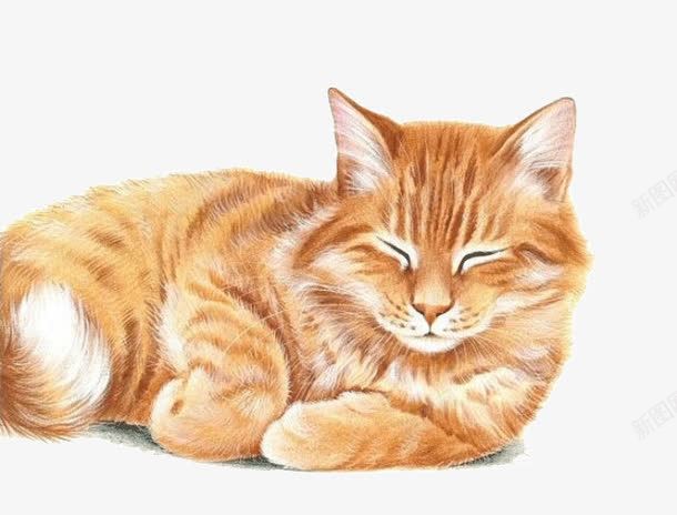 e406020cfca0f11ac69294c82f1d819f8cc5124383b0-szW8Uv