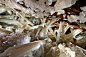 盘点世界最美的15大洞穴6