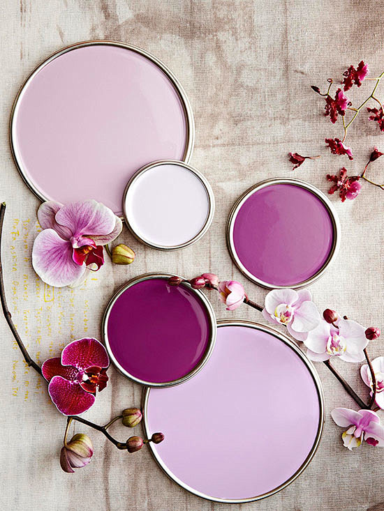 Orchid Purple Paint ...