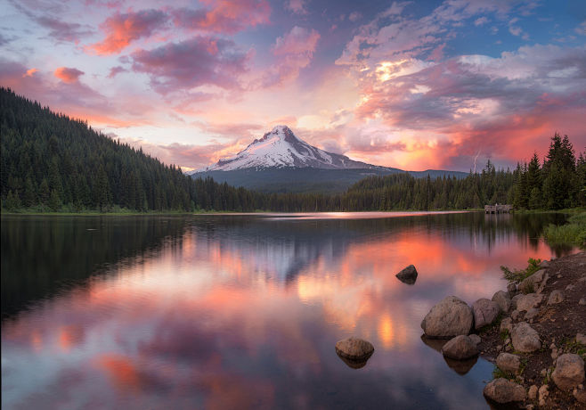 Trillium Lightning b...