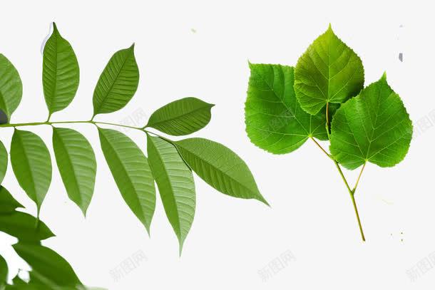 e422bcd0dee84afc32afb7b78edf2c4c0db9492e5df7-i4rHGD