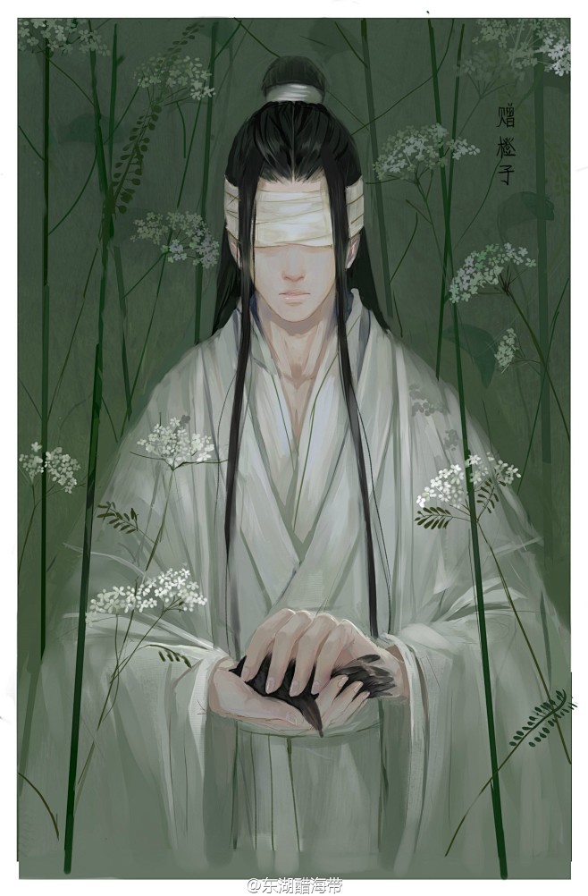 魔道祖师 晓星辰 东湖醋海带赠橙子