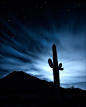 "Under the Stars" by Rich Helmer  San Tan Mountains, Arizona  www.richhelmerphotography.com  #night #cactus #fineart #fineartphotography #stars #sky