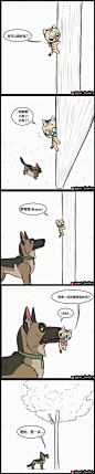 【图片】#漫画# 役军犬和小猫咪的漫画，最后一张是据说原型，超级可爱了，简直被暖哭了[心]#动漫# 【动漫资深迷妹吧】_百度贴吧