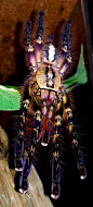 Poecilotheria ornata, Fringed Ornamental tarantula.: 