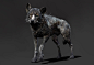 Wolf, Nicholas Lloyd : Some wolf work i did a few years back. 
Zbrush sculpts and renders with a photoshop paint over.