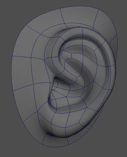 3d basic ear model