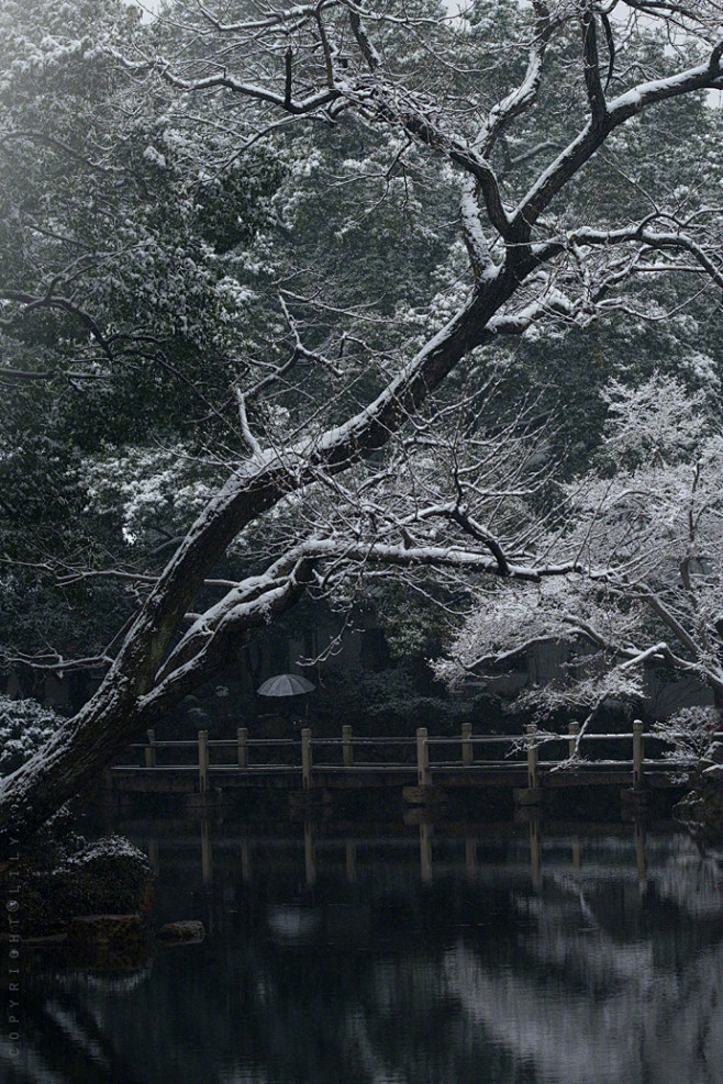 幽兴随雪来，尘心逐雪销。@空谷寻芳 ​​...