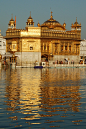 Harmandir Sahib, Amritsar, India