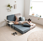 LIGO : modular / lounge sofa