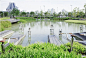 泰国曼谷的大型抗洪雨水公园 Chulalongkorn Centenary Park  /  LANDPROCESS : LANDPROCESS ：曼谷正在下沉，这座拥有2000万人口的城市，正以每年超过1厘米的速度下沉，最快可能在2030年低于海平面。这座泰国首都横跨湄南河三角洲，曾因其发达的运河脉络而被称为东方威尼斯。曾经大量的农业用地吸收了季节性洪水和季风降雨;如今，由于...