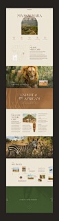 africa art direction  branding  graphic design  Nature Photography  safari Travel UI