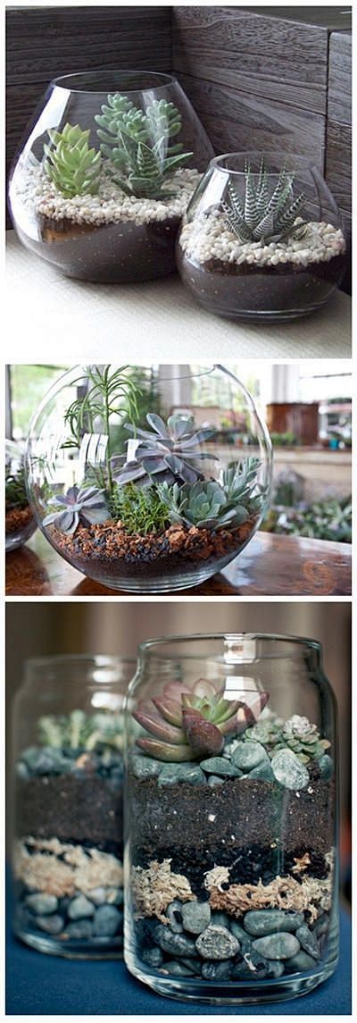 Terrariums...bottom ...